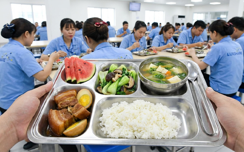 Chế độ ăn uống khi đăng ký việc làm thời vụ Tết 2026